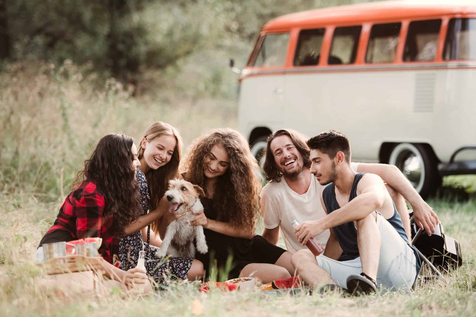 a-group-of-young-friends-with-a-dog-sitting-on-grass-on-a-roadtrip-through-countryside-.jpg